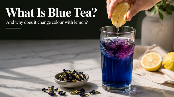 Butterfly Pea Flower