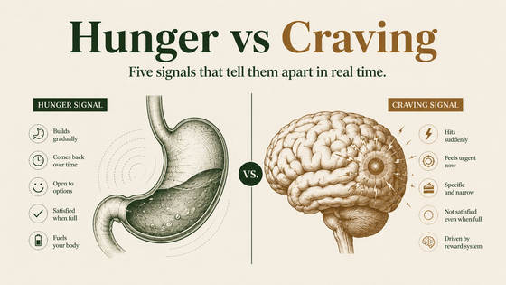 Hunger Vs Craving